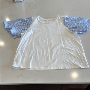 White and Blue Striped Sleeve Top
